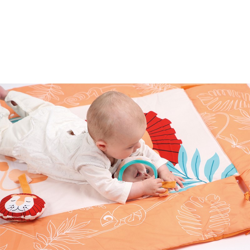 Ludi Lion Activity Mat